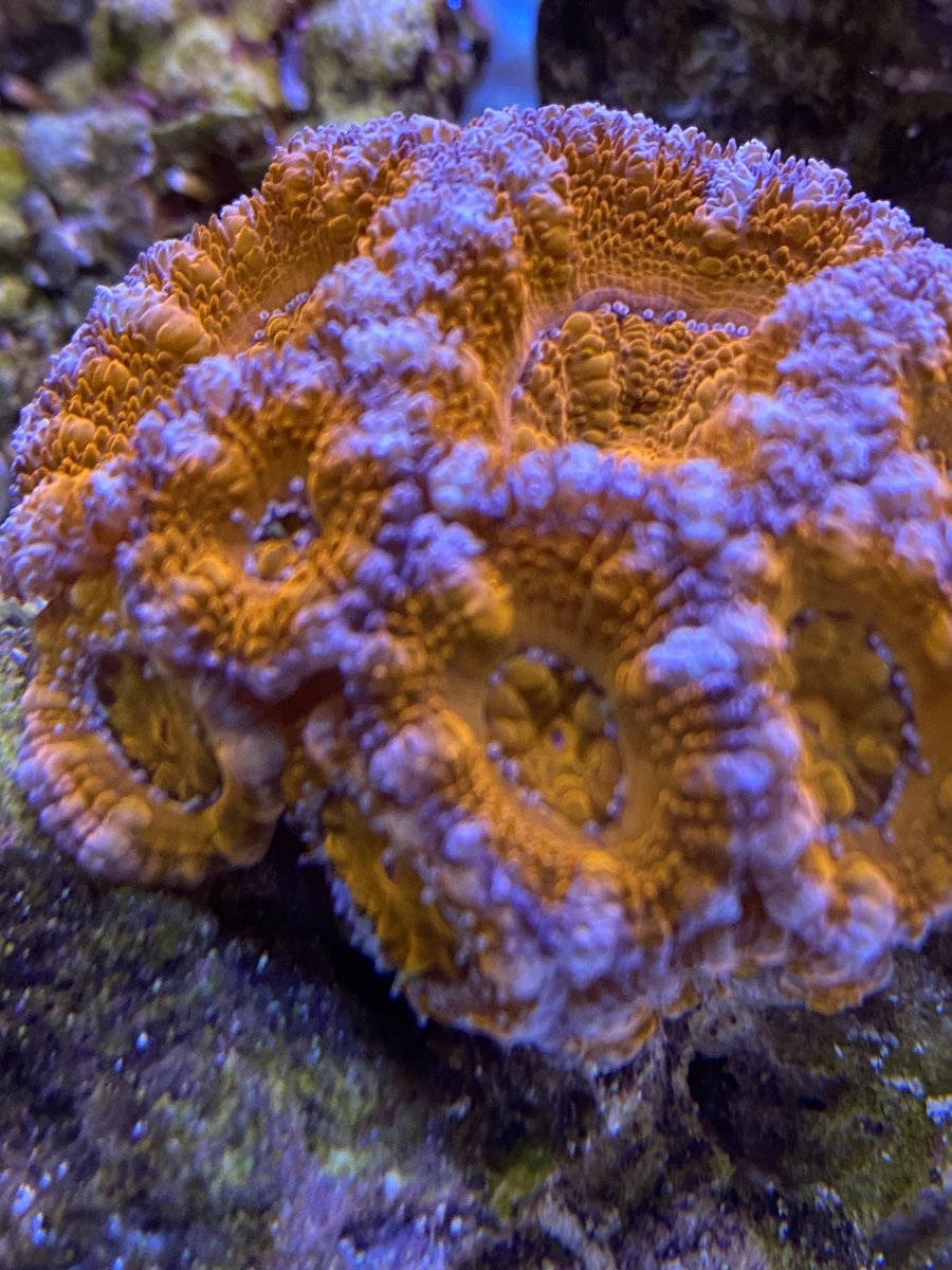 IMG_5394.jpeg