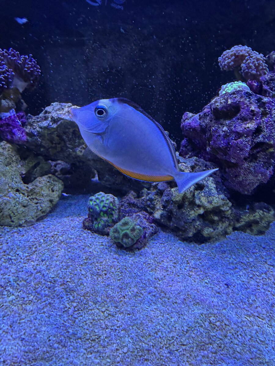 IMG_5404.jpeg