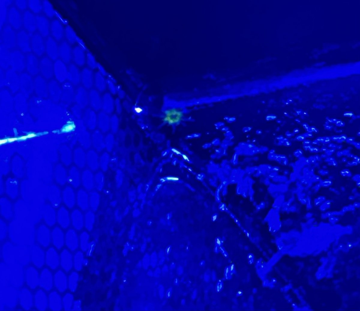 IMG_5427.jpeg