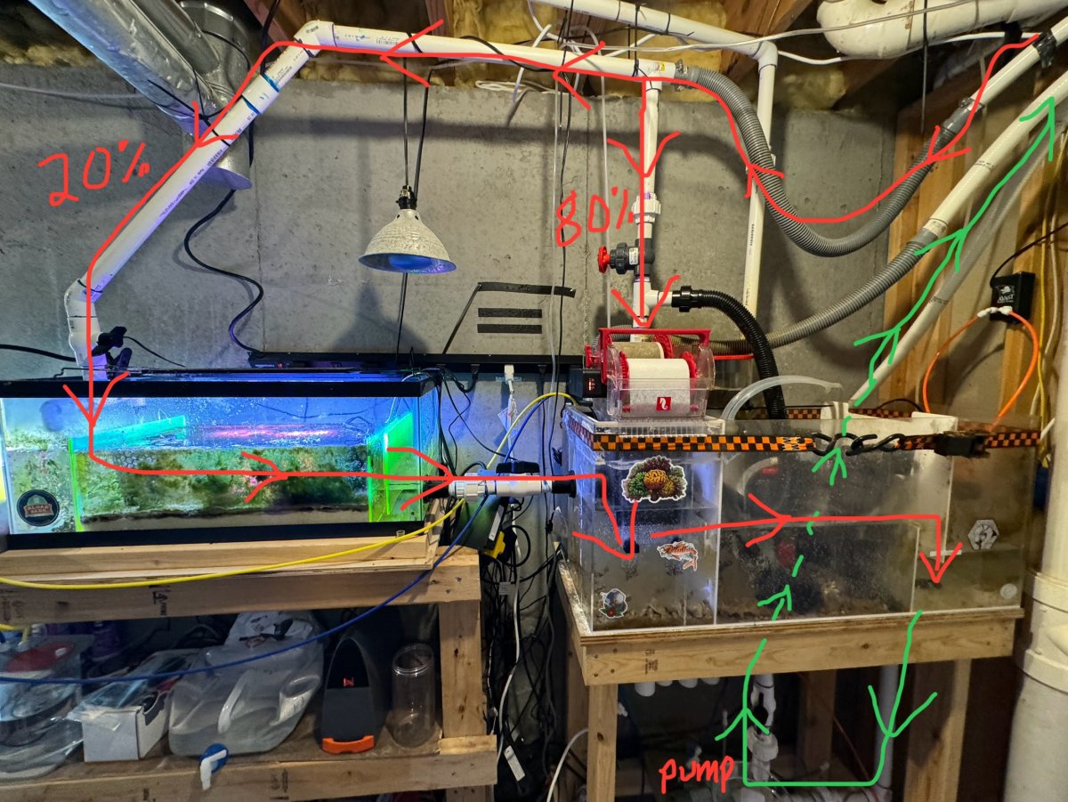 Need advice on DIY Remote sump and cabinet build | Reef2Reef