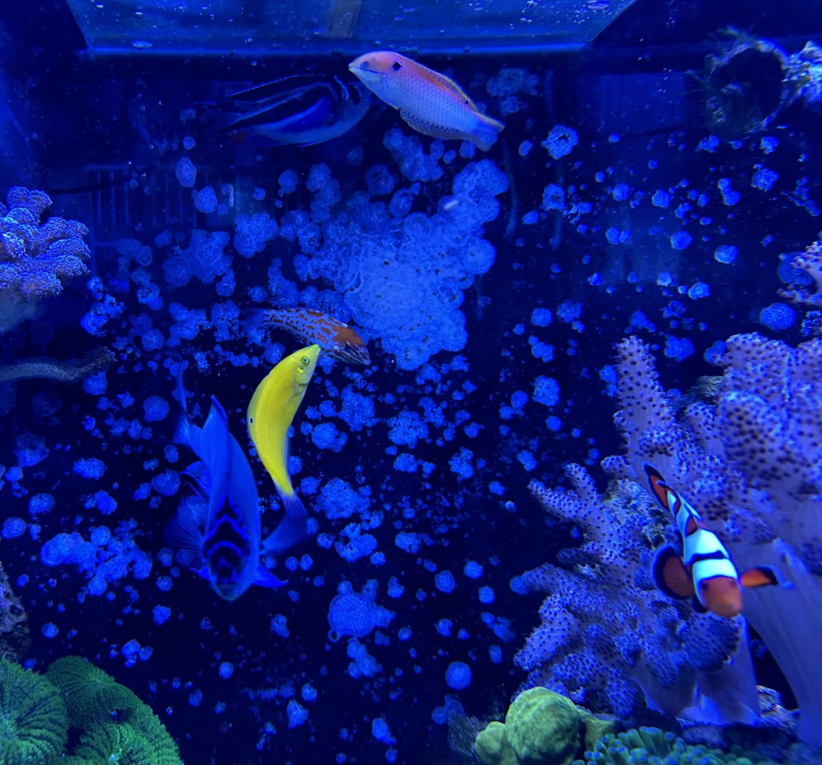 IMG_5431.jpeg