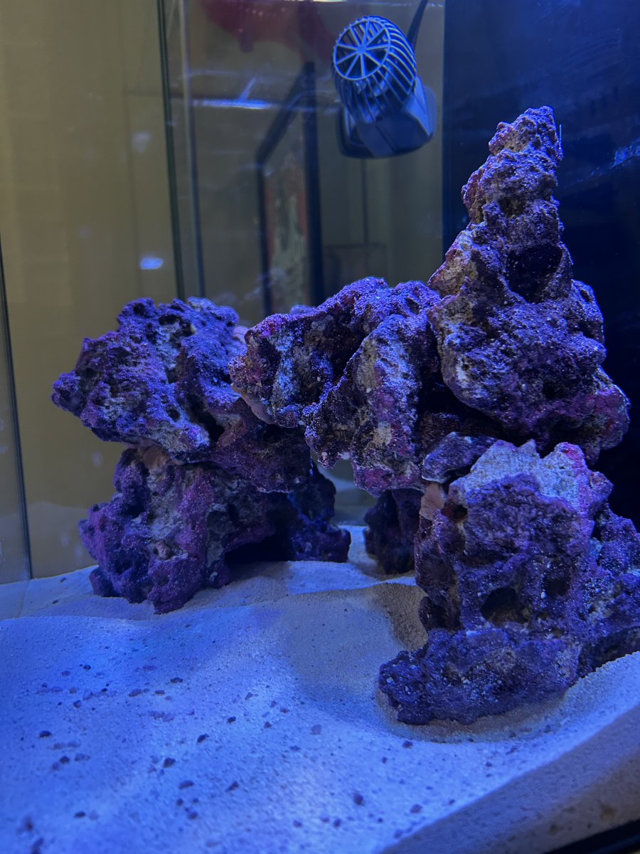 IMG_5453.jpeg