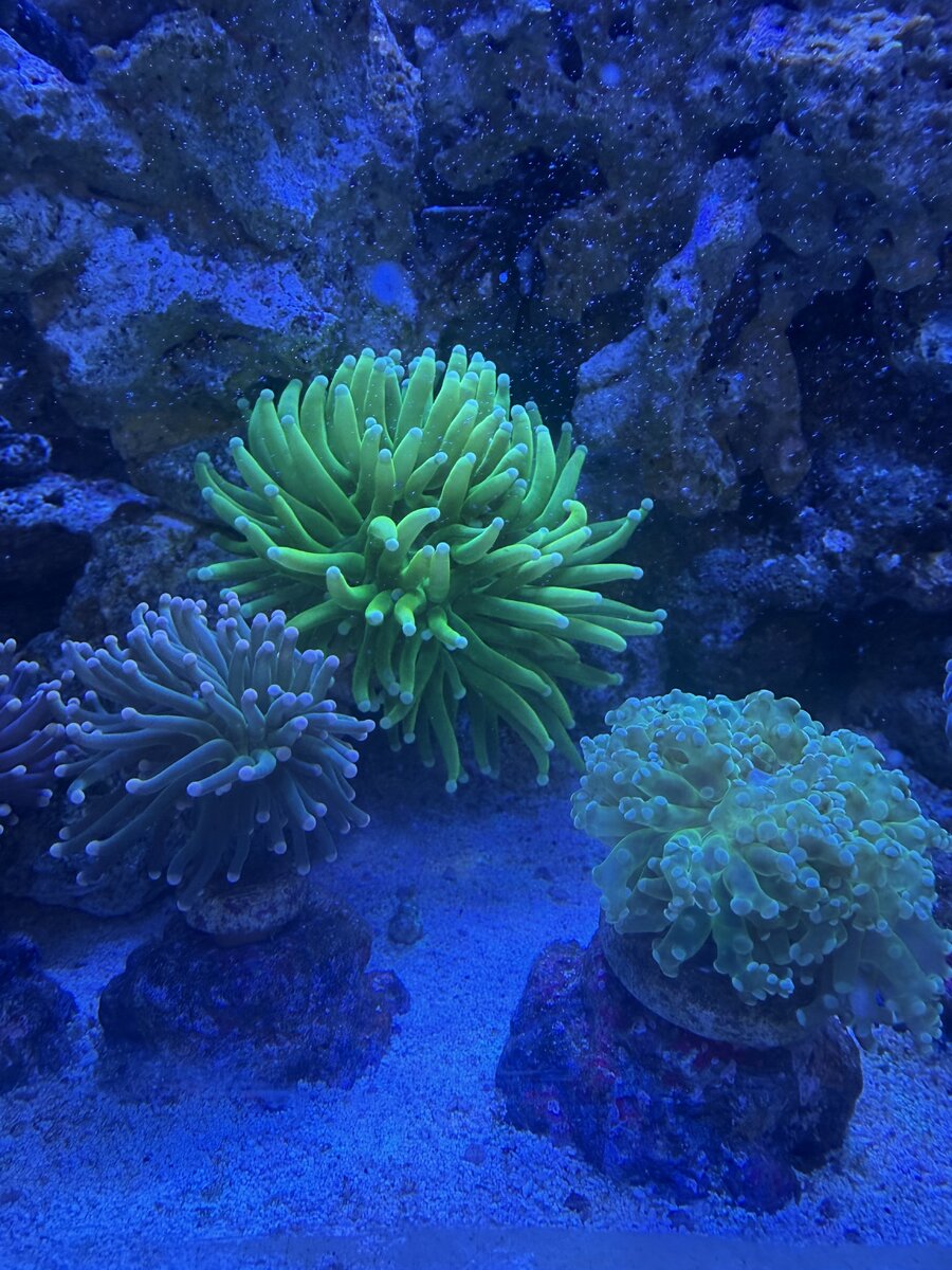 IMG_5454.jpeg