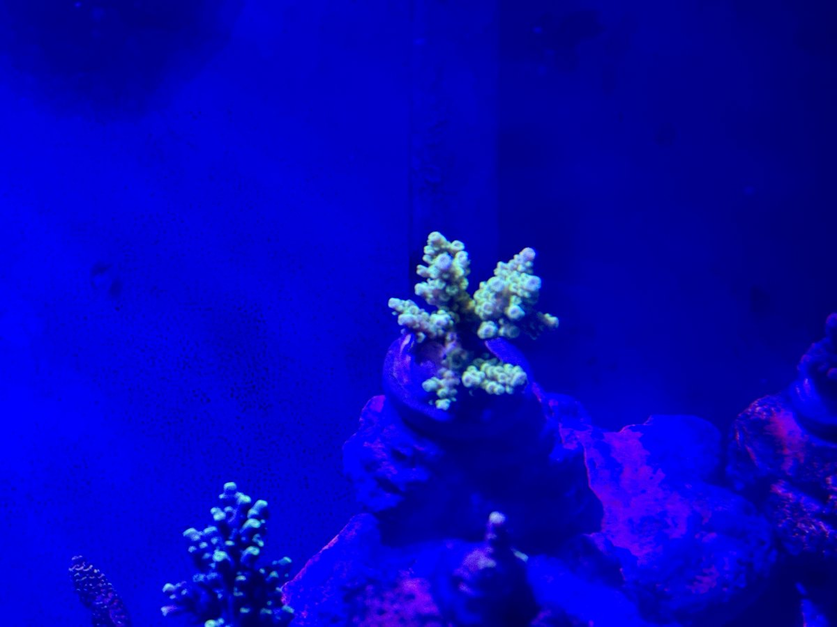 IMG_5455.jpeg