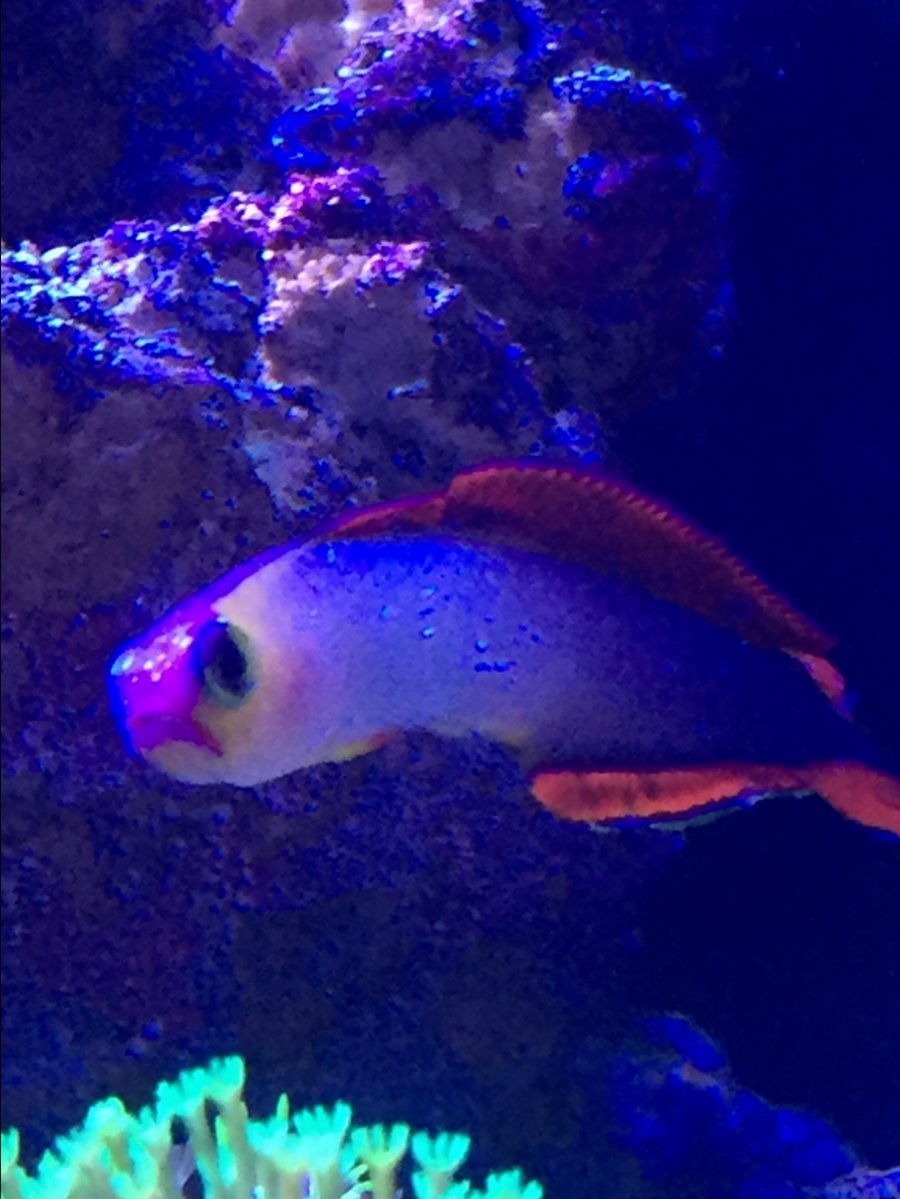 IMG_5467.JPG