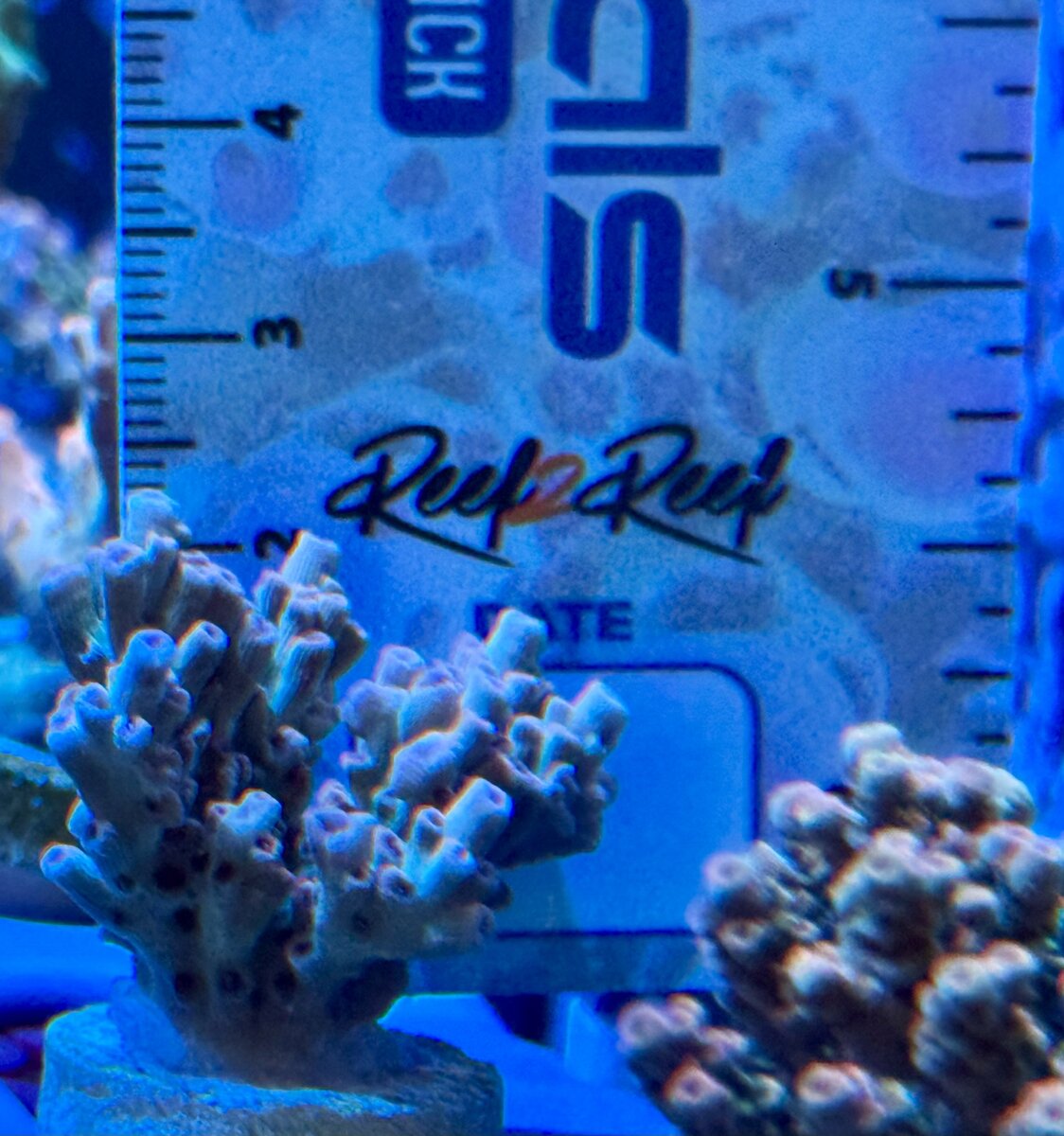 IMG_5478.jpeg