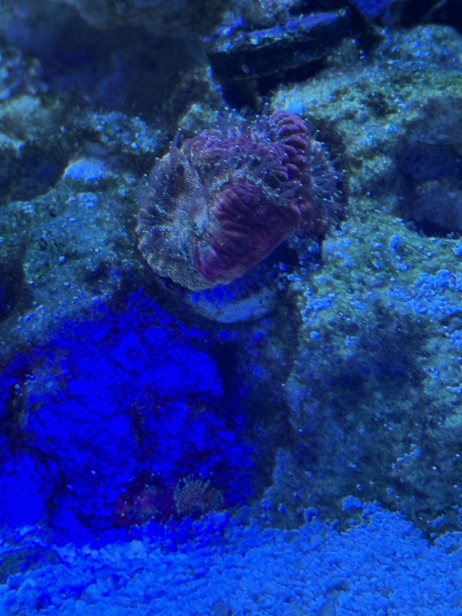 IMG_5484.jpeg