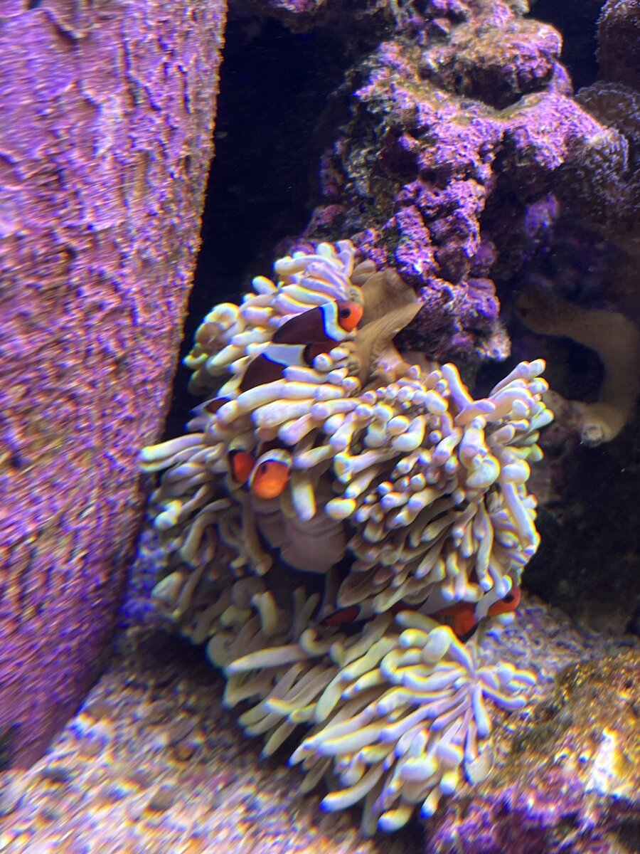 IMG_5506.jpeg