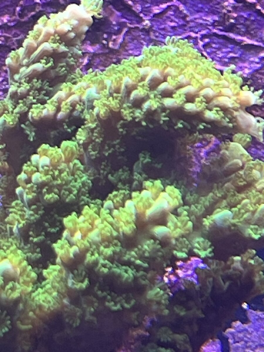 IMG_5507.jpeg