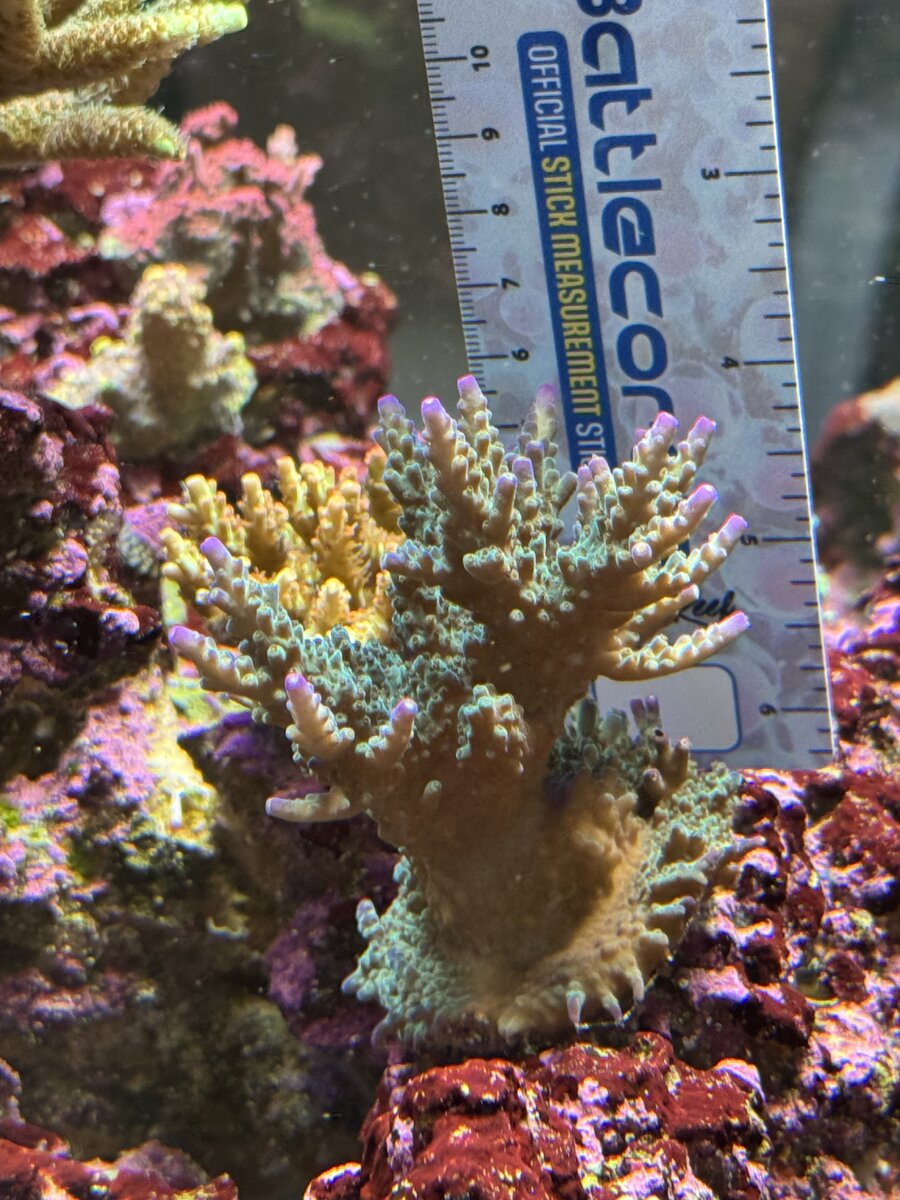 IMG_5511.jpeg