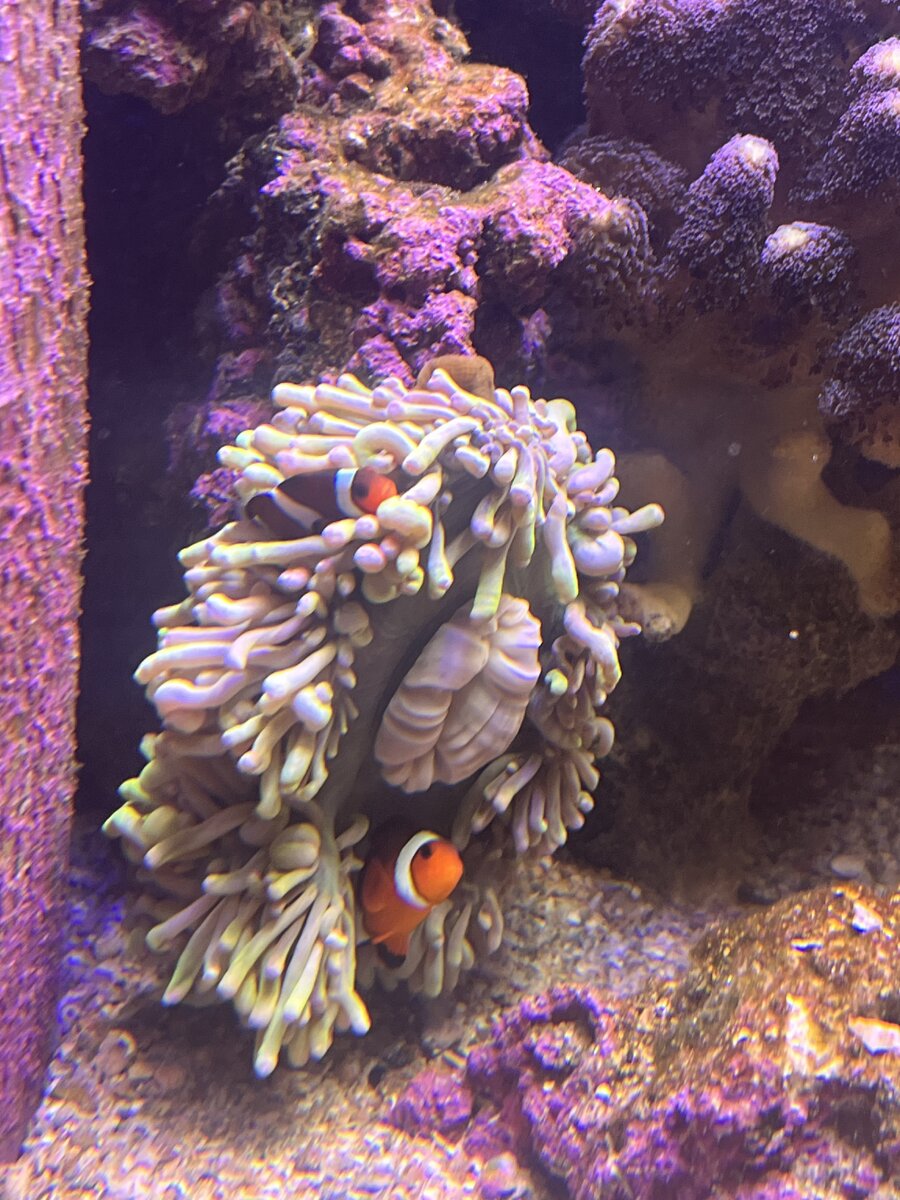 IMG_5514.jpeg