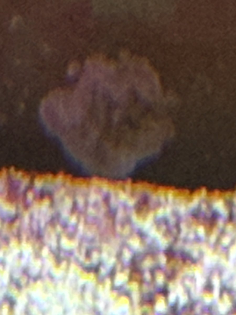 IMG_5525.jpeg