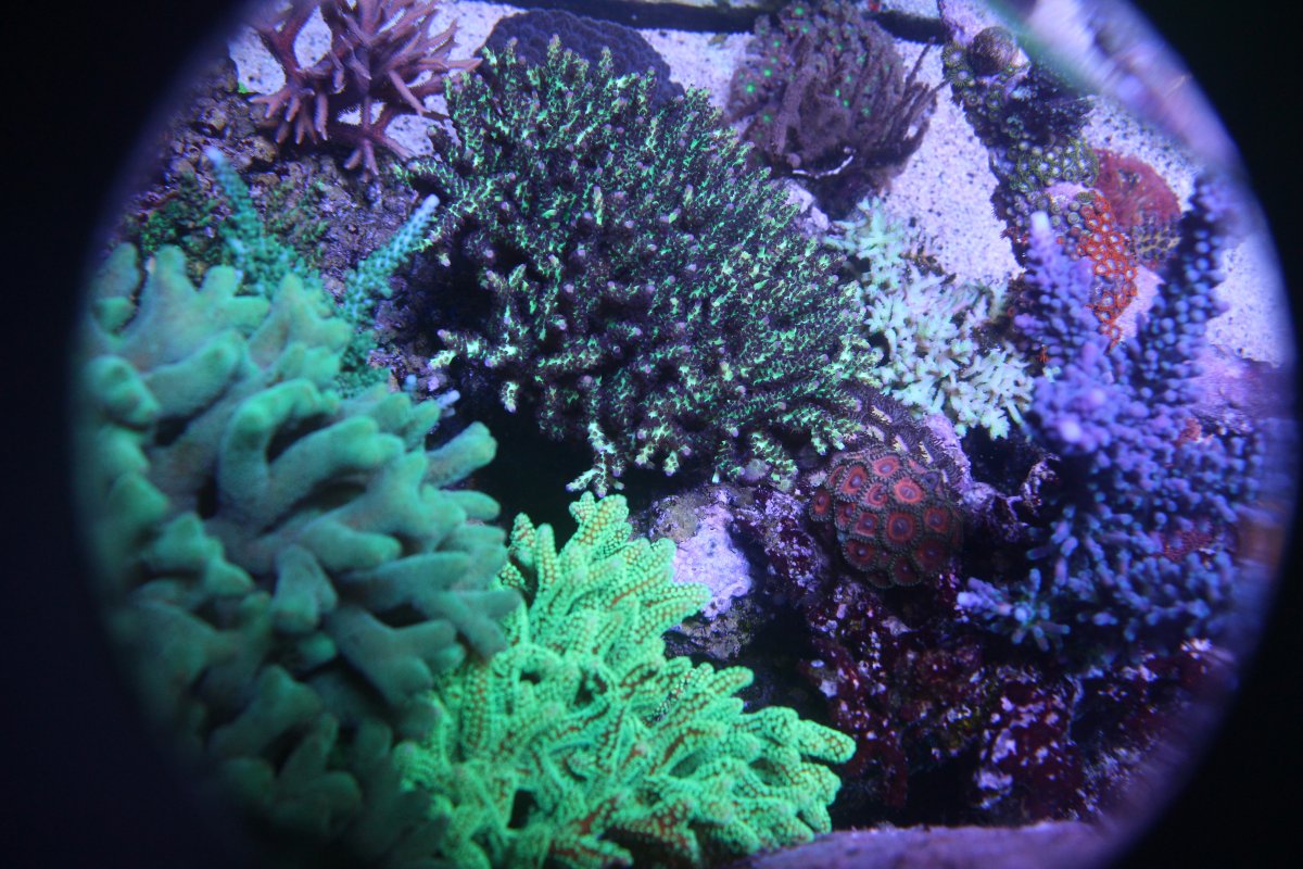 IMG_5527.JPG