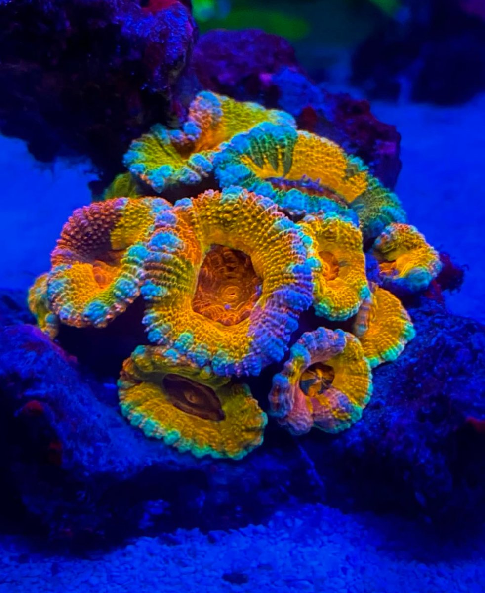 IMG_5544.jpeg