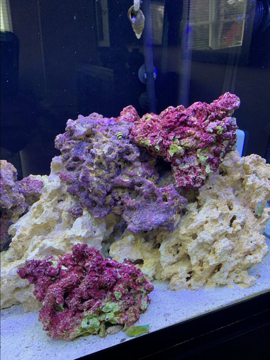 IMG_5545.jpeg