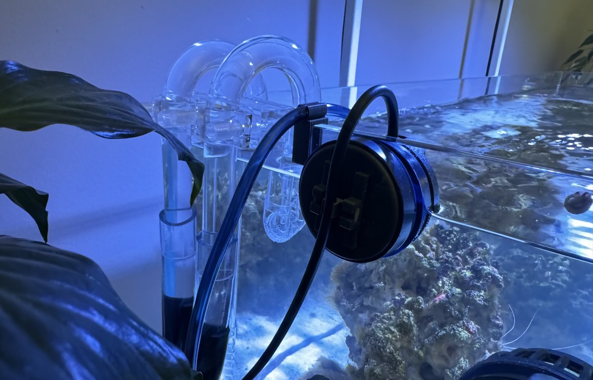 Build Thread - Shallow 21 Gal Reef Tank Build From A Beginner | Page 3 ...