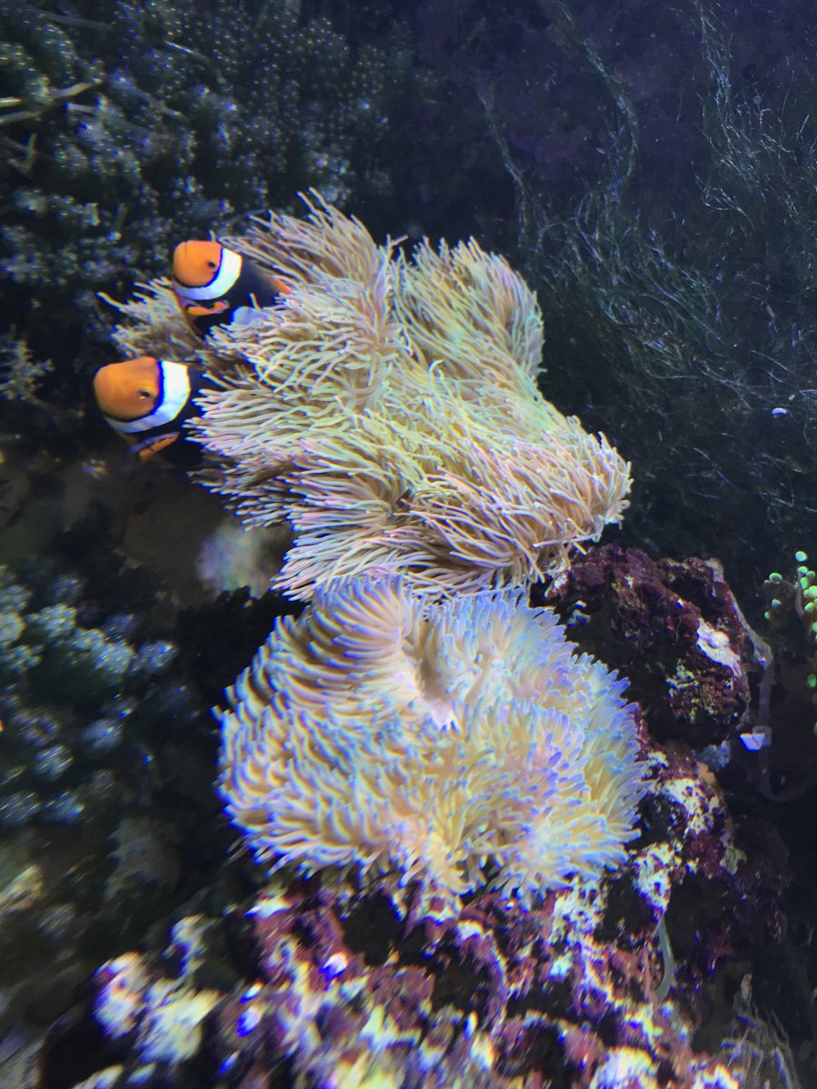 IMG_5562.jpeg