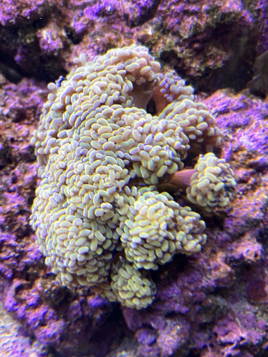 IMG_5588.jpeg