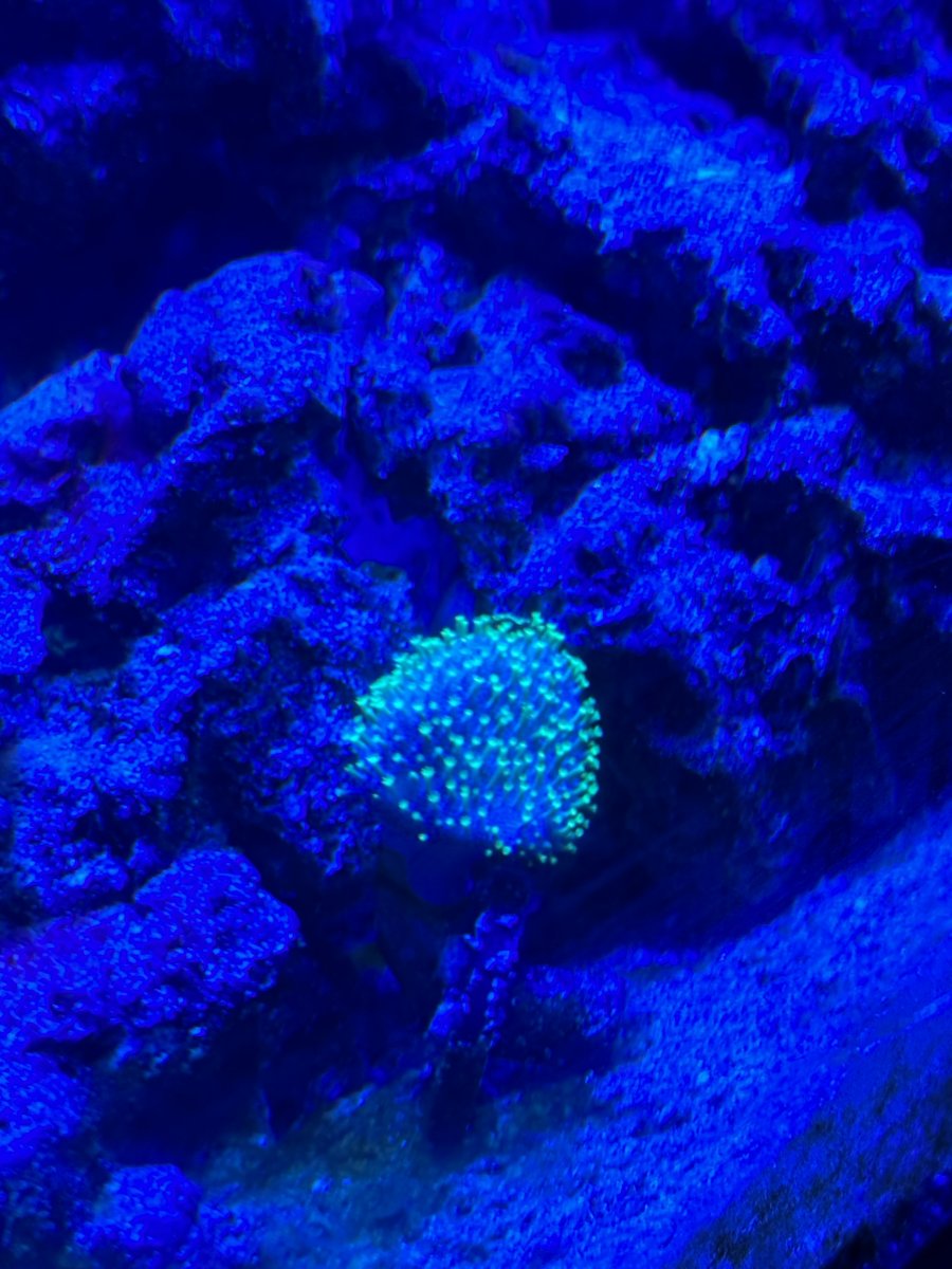 IMG_5593.jpeg