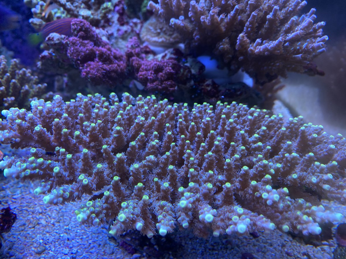 IMG_5600.jpeg
