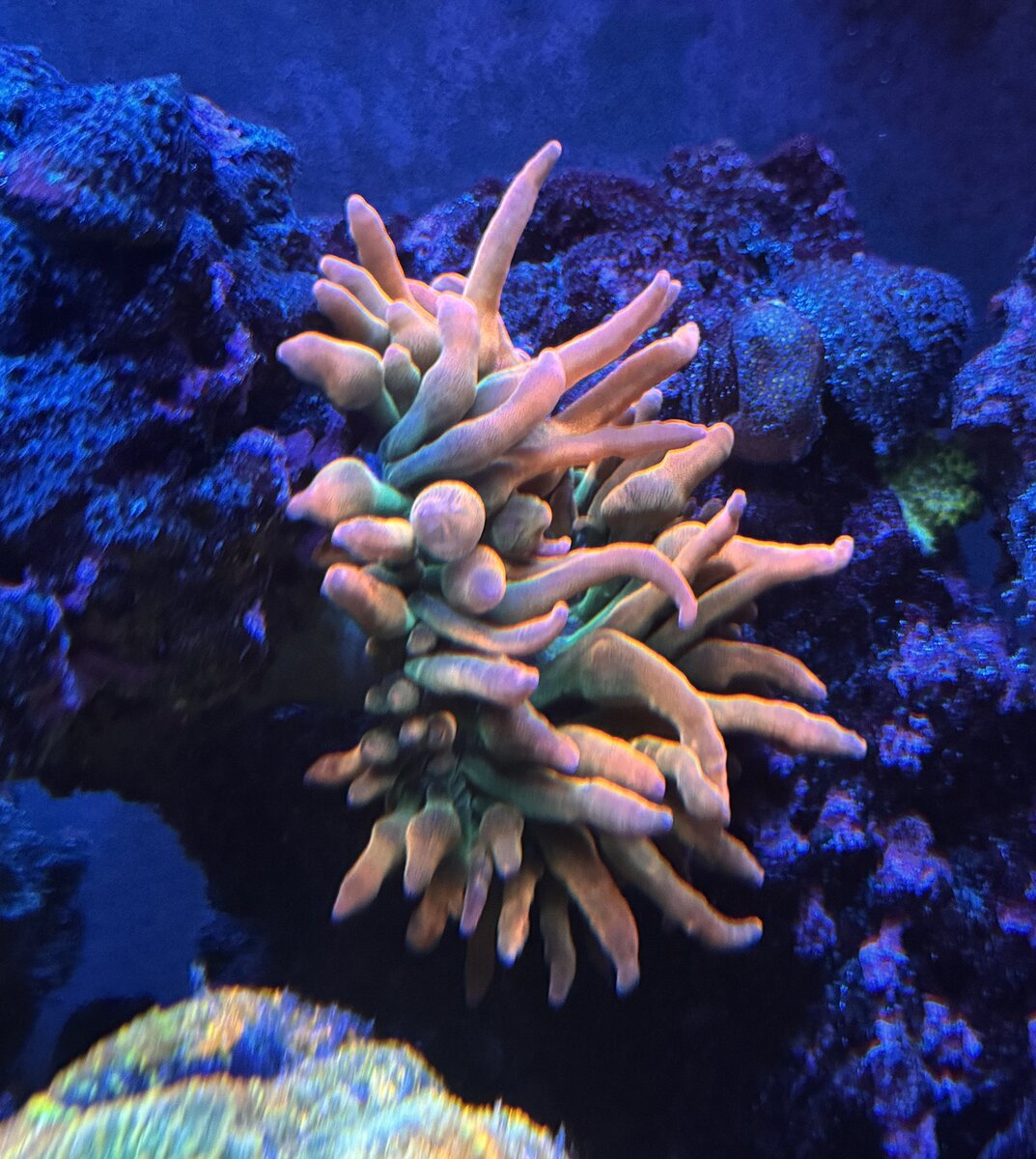 IMG_5601.jpeg