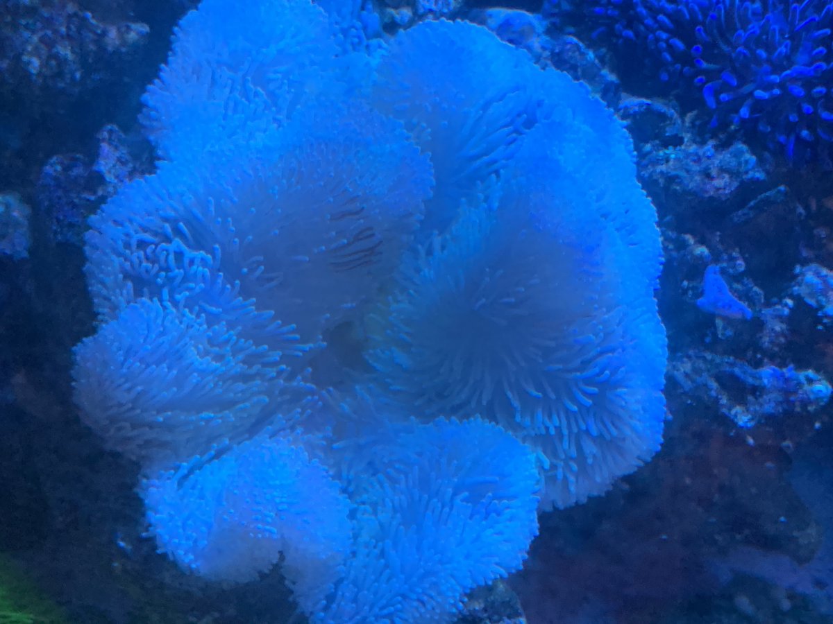 IMG_5601.jpeg