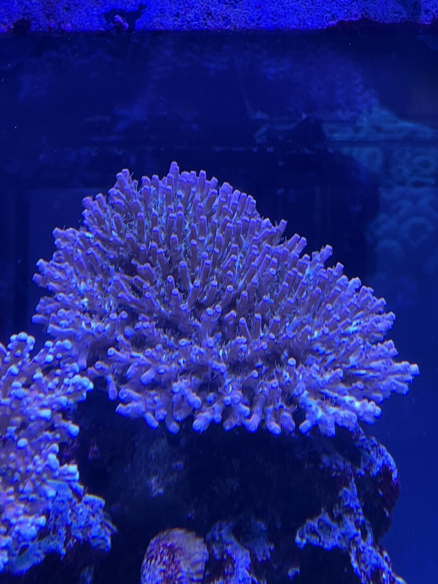 IMG_5609.jpeg