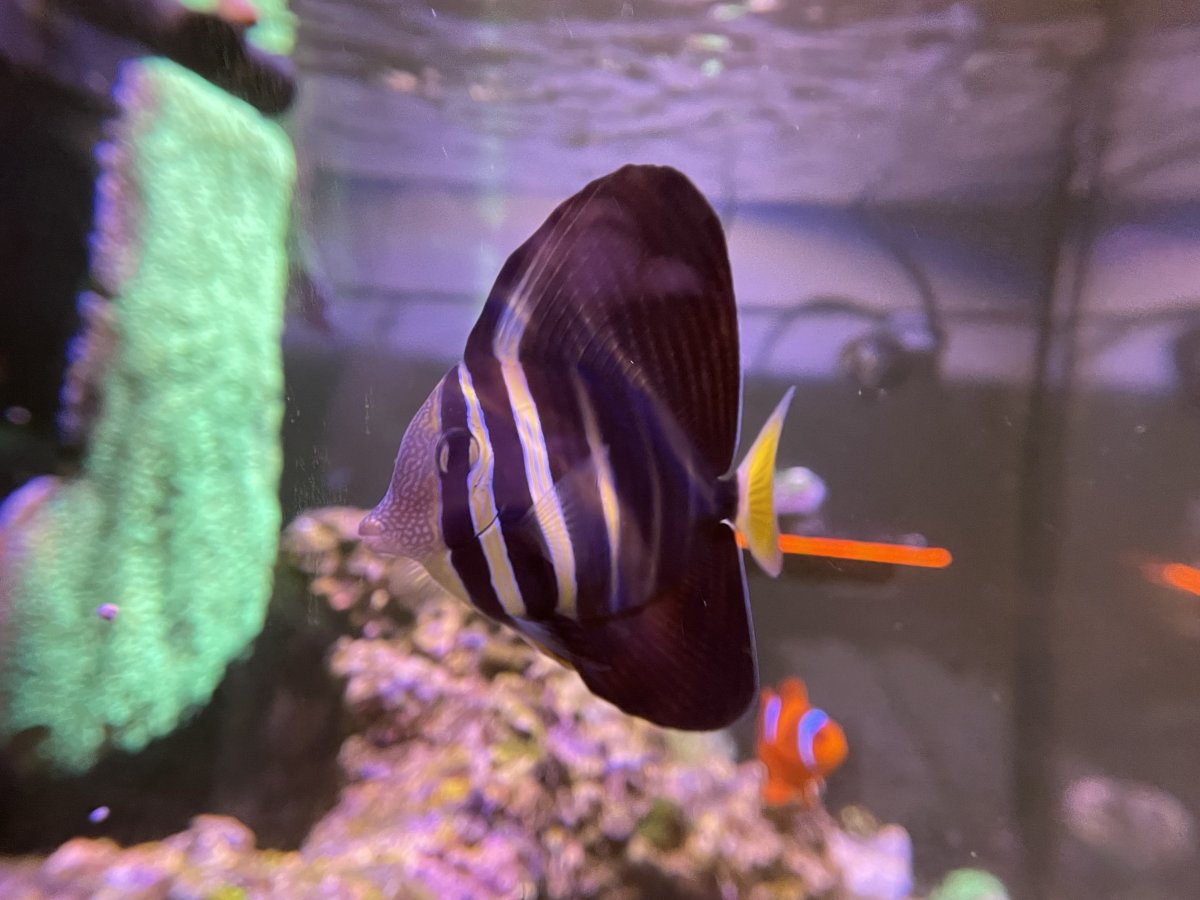 IMG_5610.jpeg