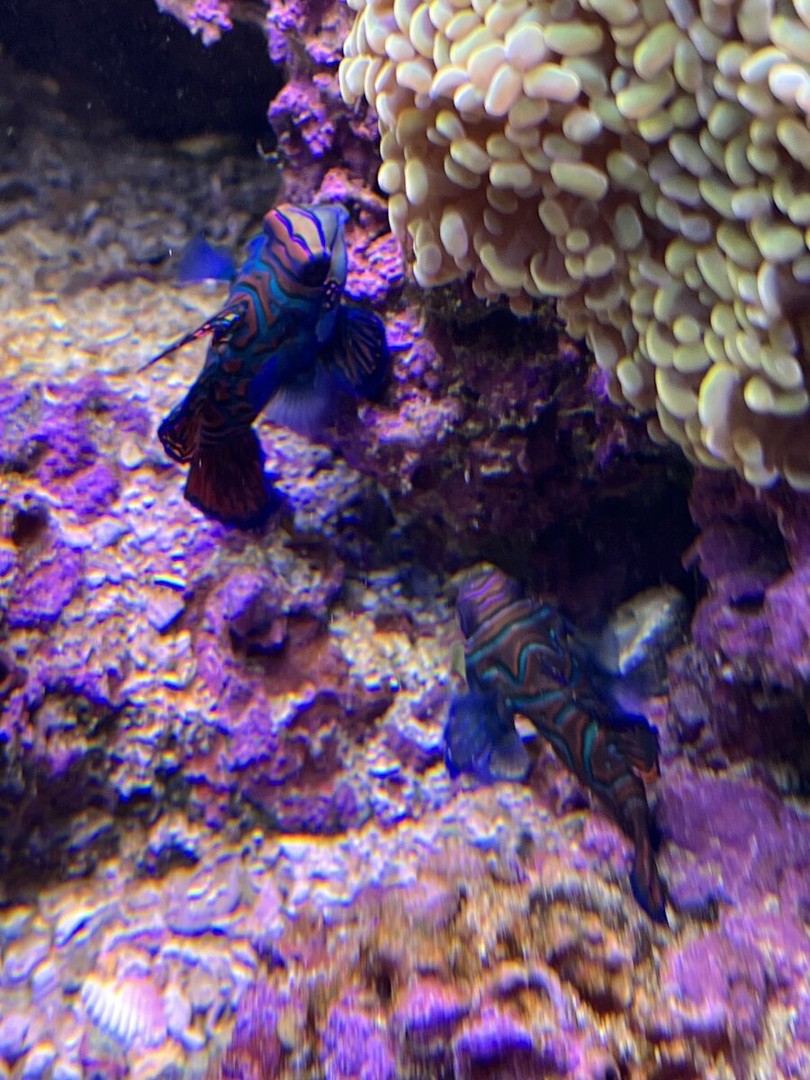 IMG_5611.jpeg