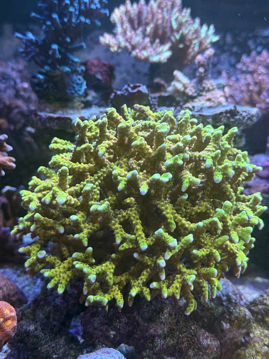 IMG_5613.jpeg