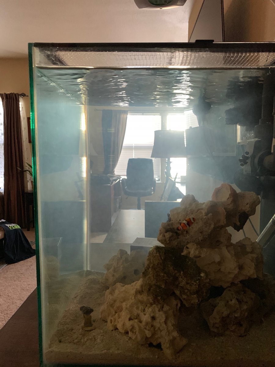 IMG_5616.jpeg