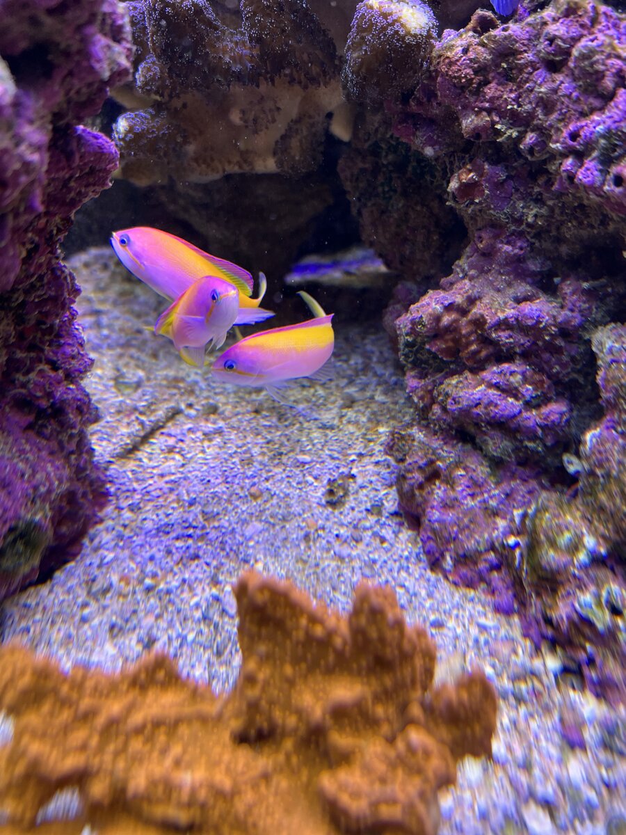 IMG_5622.jpeg