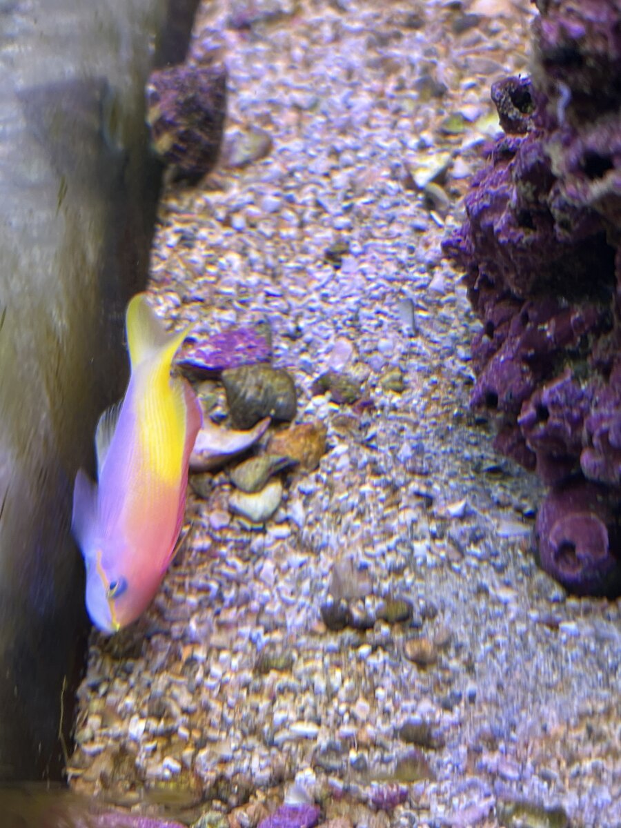 IMG_5624.jpeg