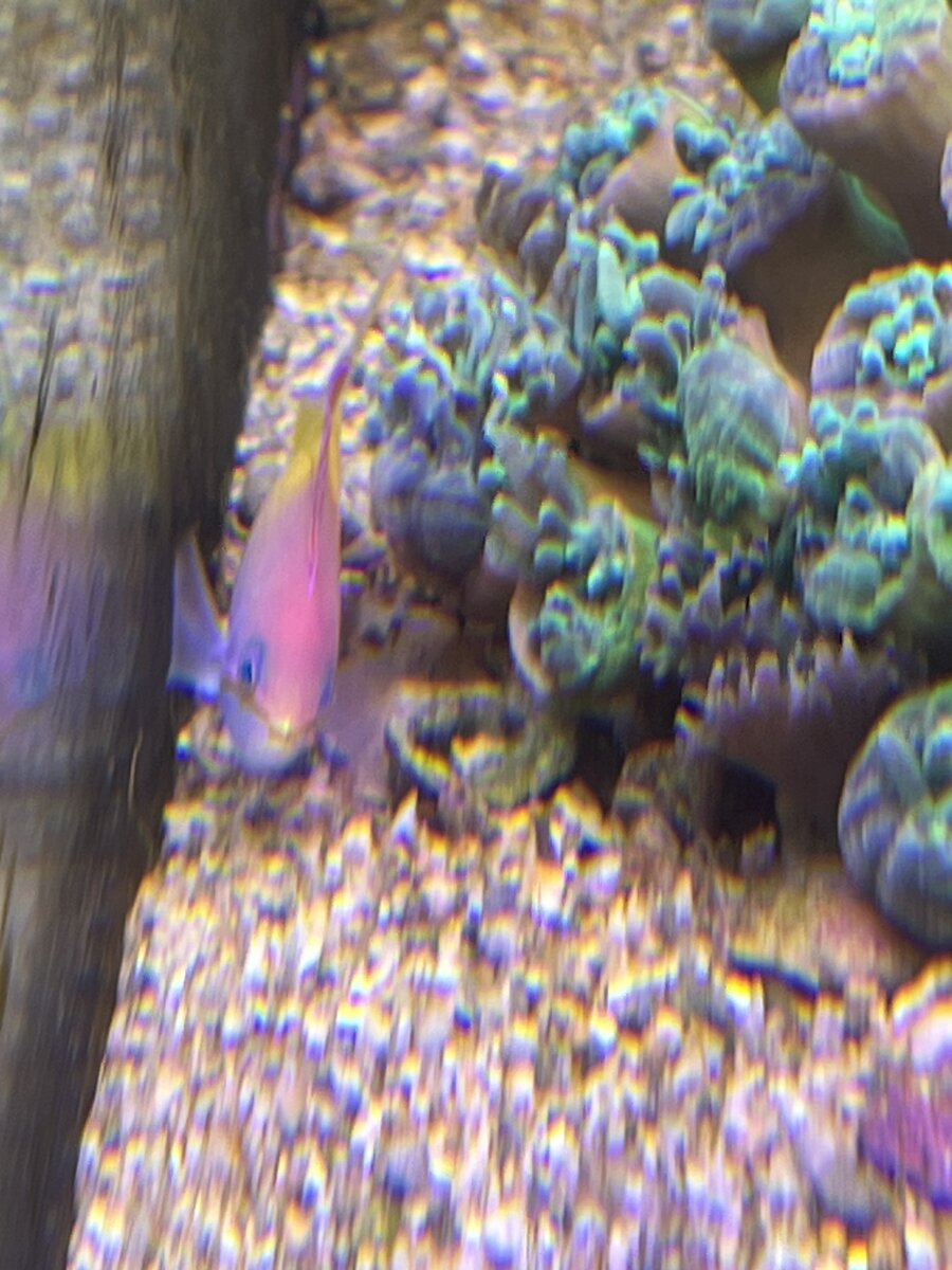 IMG_5625.jpeg