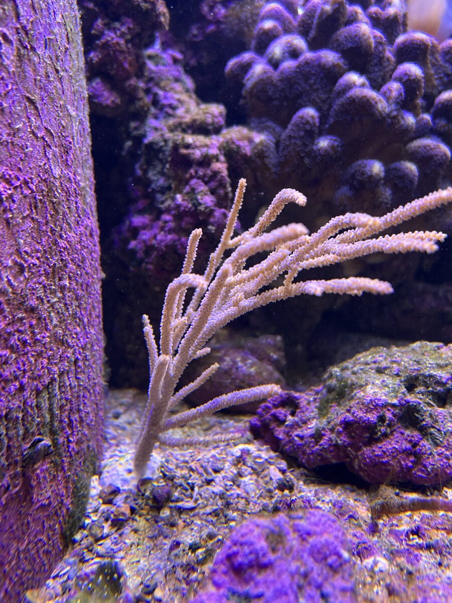IMG_5645.jpeg