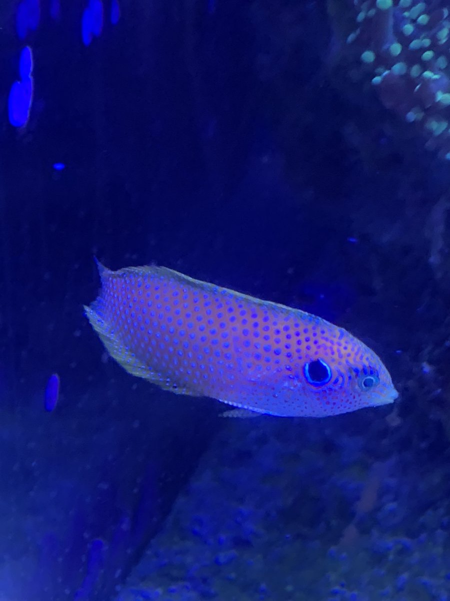 IMG_5658.jpeg