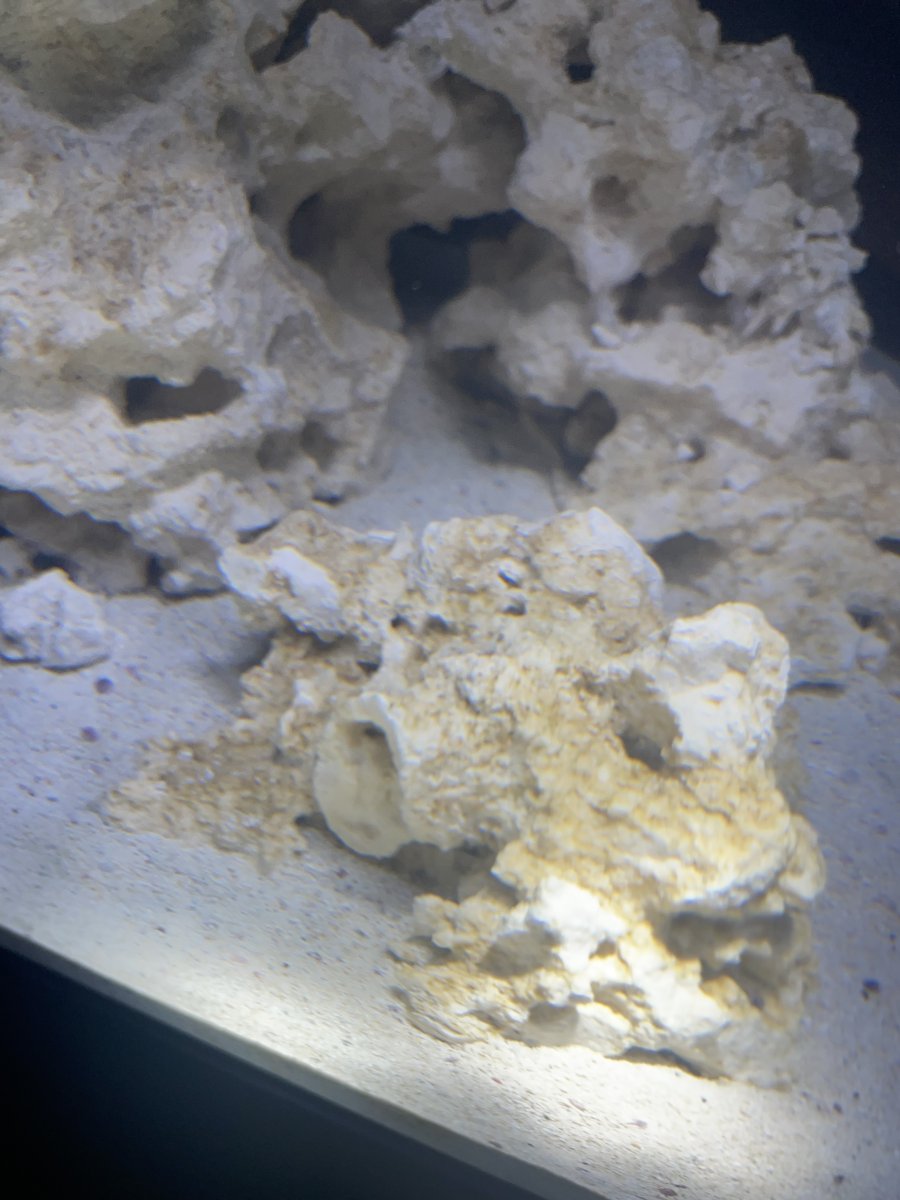 IMG_5659.jpeg