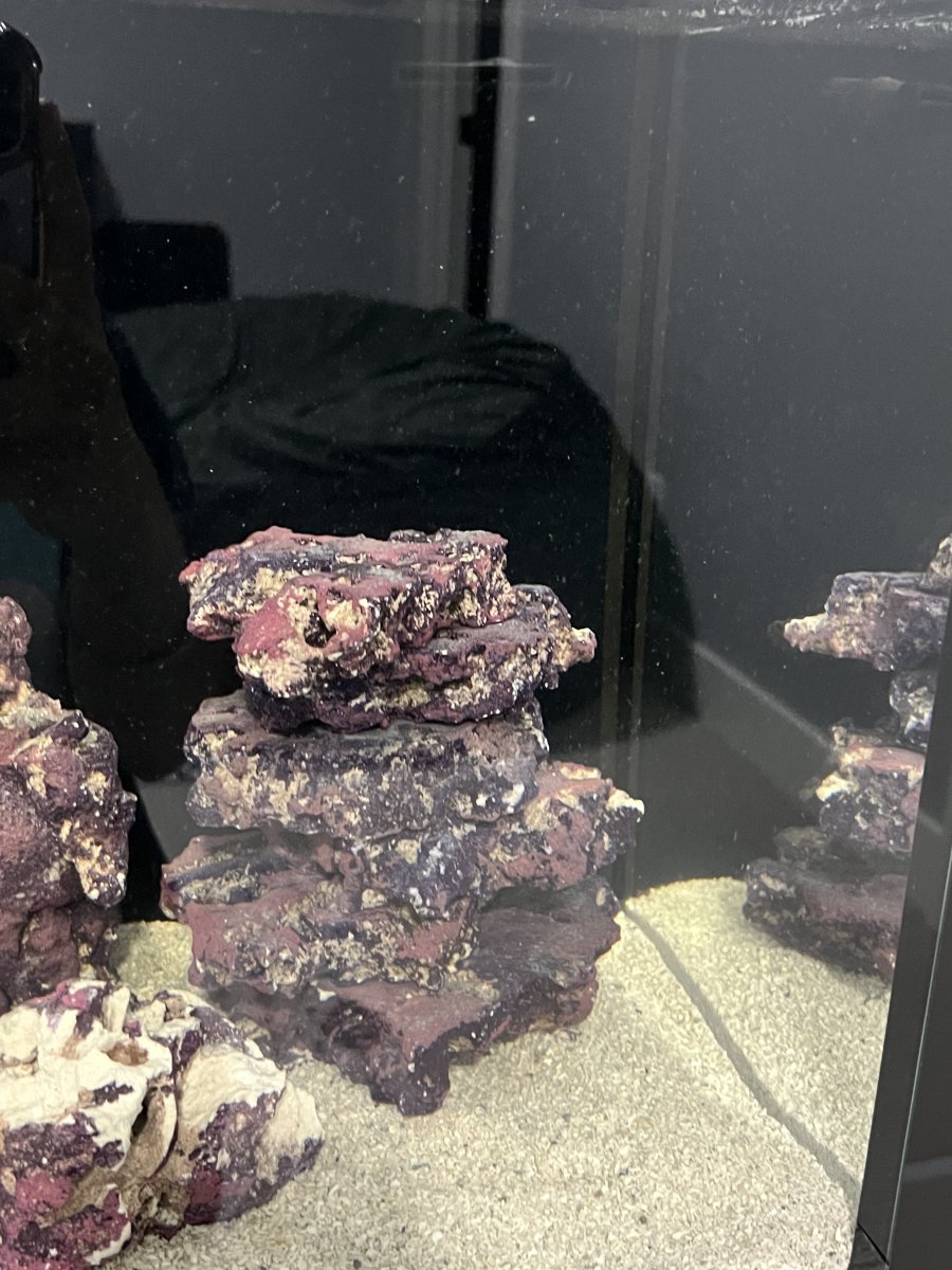 IMG_5660.jpeg