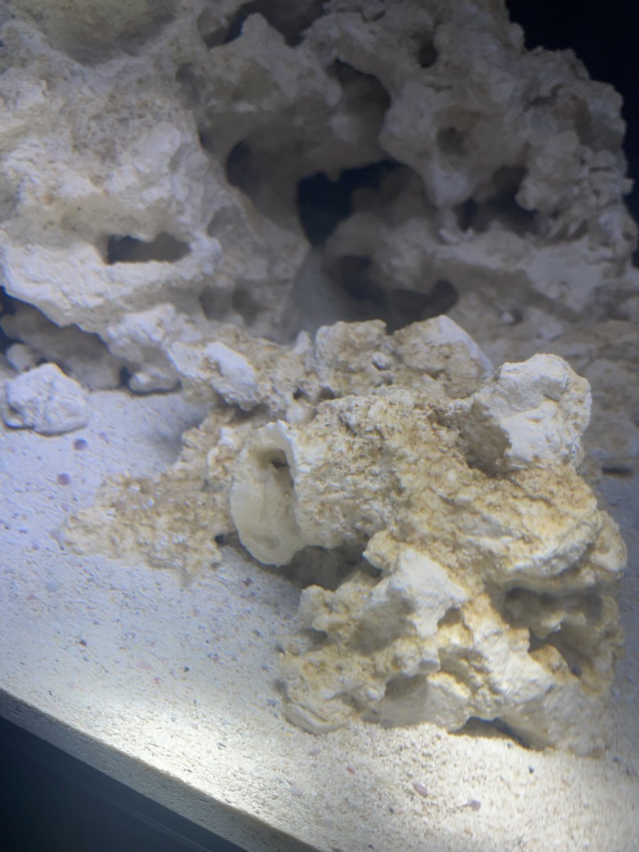 IMG_5660.jpeg