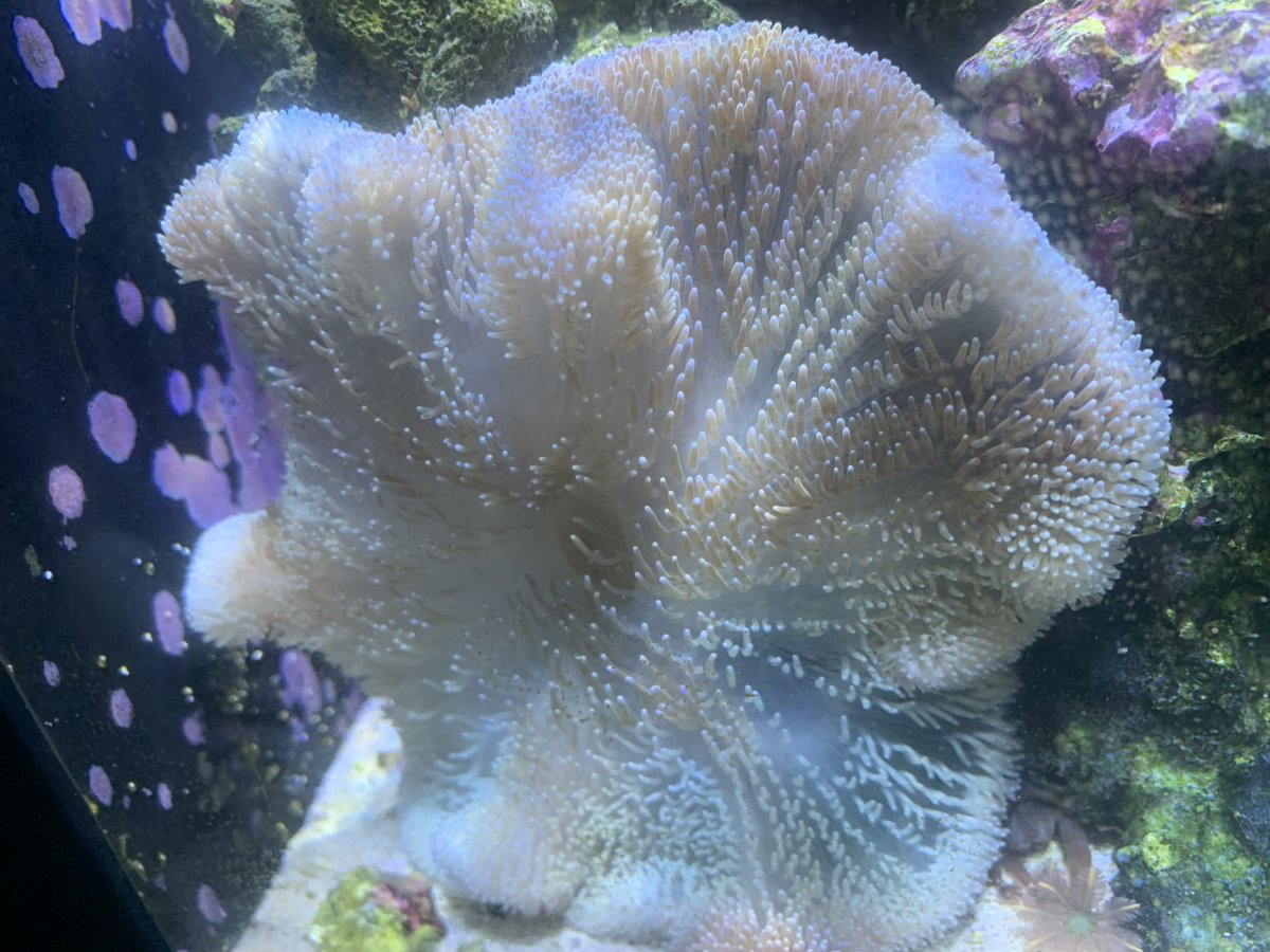 IMG_5664.jpeg