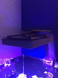 IMG_5692.jpeg