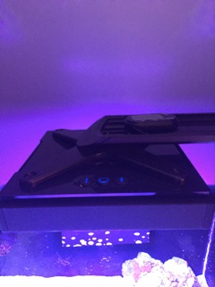 IMG_5693.jpeg