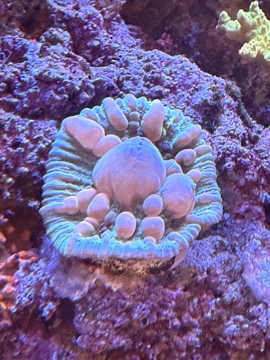IMG_5694.jpeg