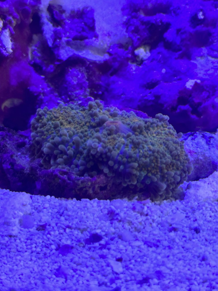 IMG_5701.jpeg