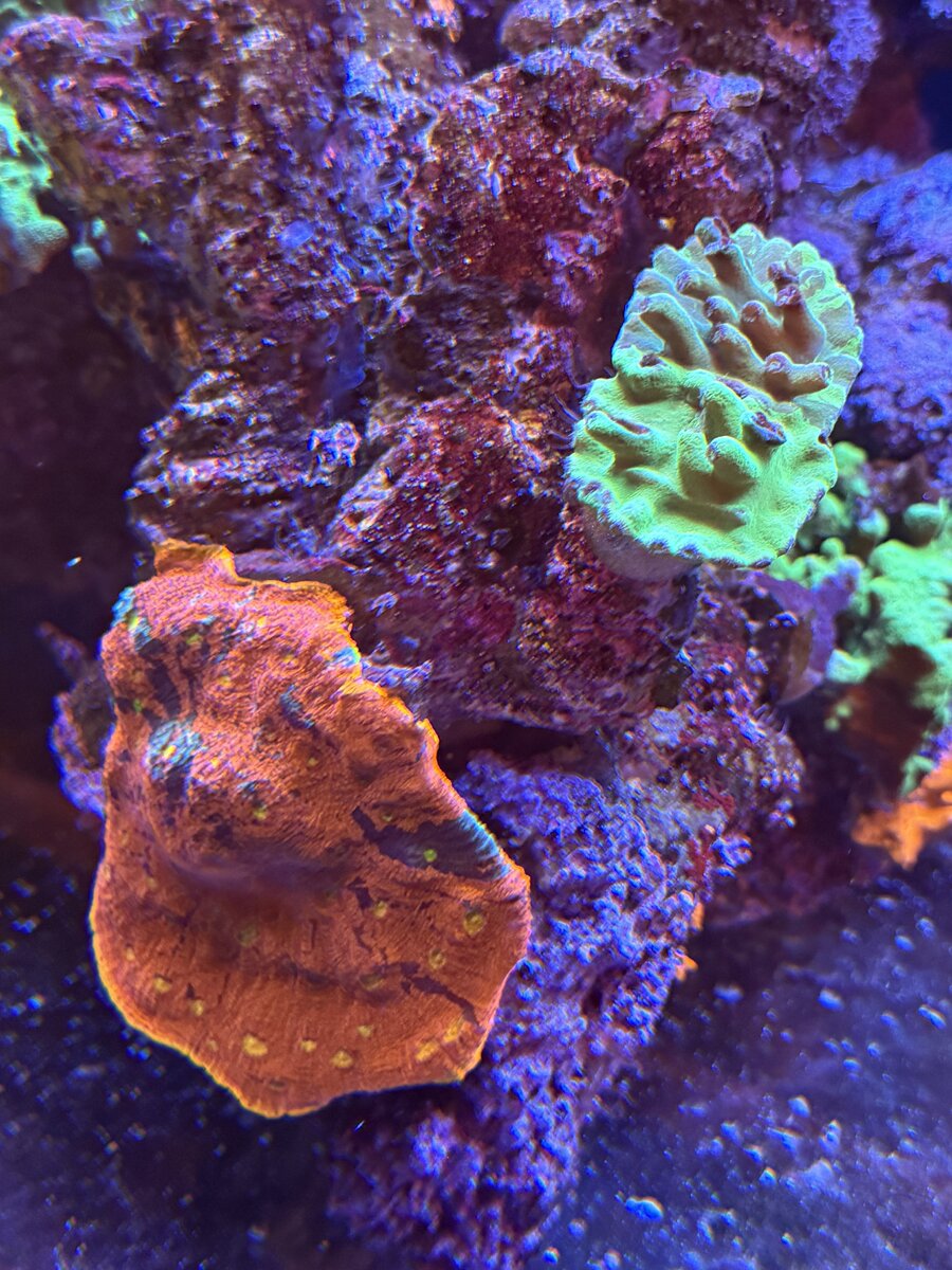 IMG_5702.jpeg