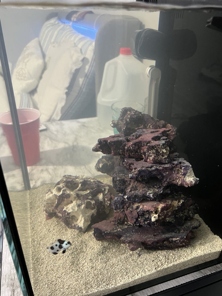 IMG_5710.jpeg