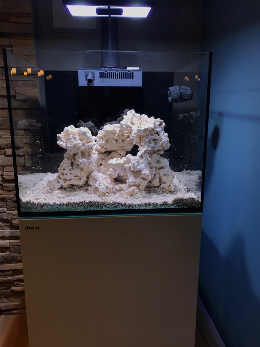Build Thread - Red Sea Reefer 170 Build - New to Hobby | REEF2REEF