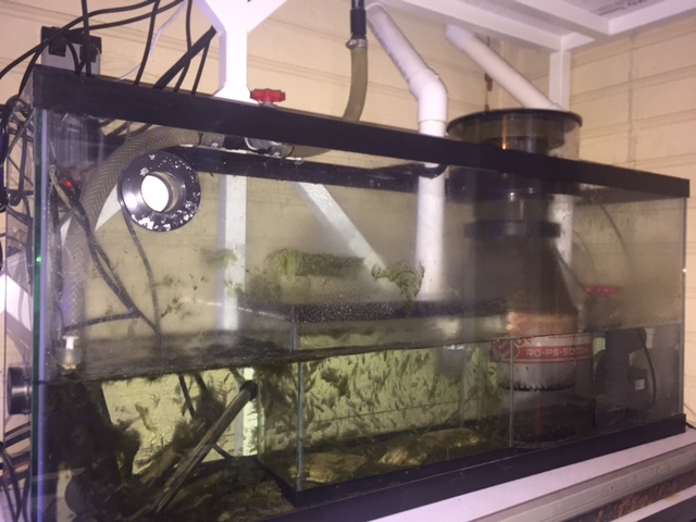 IMG_5716.JPG