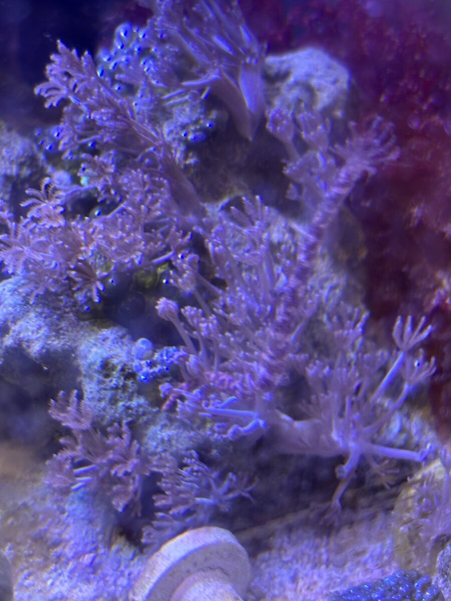 IMG_5717.jpeg