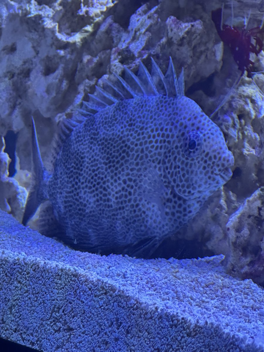 IMG_5724.jpeg